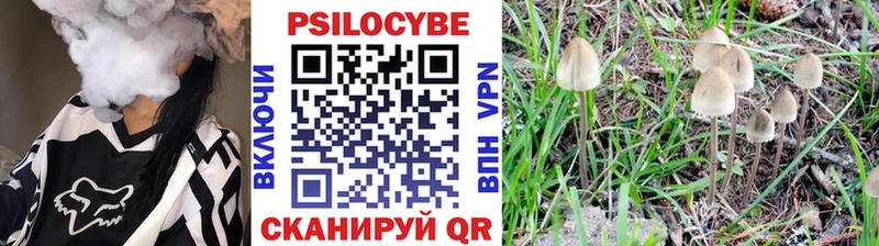 Псилоцибиновые грибы прущие грибы Янаул