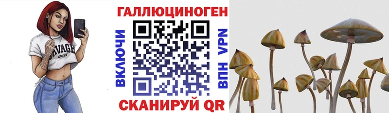 Псилоцибиновые грибы ЛСД  хочу   Янаул 