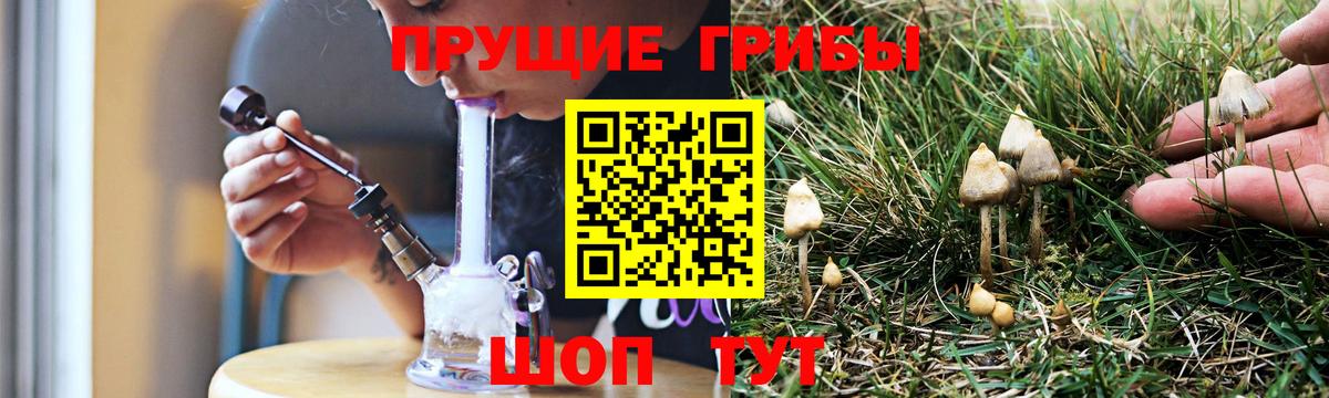 Янаул  Псилоцибиновые грибы ЛСД  наркота  Галлюциногенные грибы Cubensis  Вход с VPN 